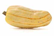 デリカータ・スカッシュ（Delicata Squash）