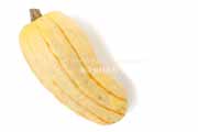 デリカータ・スカッシュ（Delicata Squash）