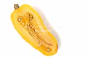 デリカータ・スカッシュ（Delicata Squash）の断面