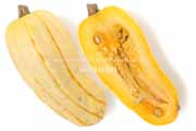 デリカータ・スカッシュ（Delicata Squash）の断面