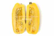 デリカータ・スカッシュ（Delicata Squash）の断面