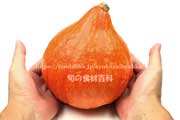 赤皮栗かぼちゃ