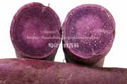 紫色のサツマイモ（甘藷）新品種、ふくむらさきの断面