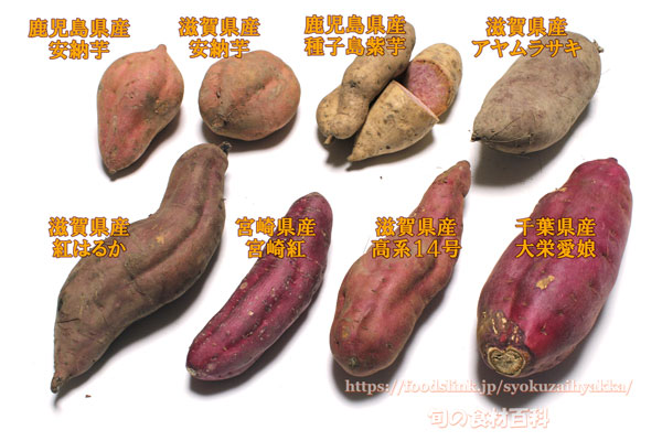 色々なサツマイモの品種