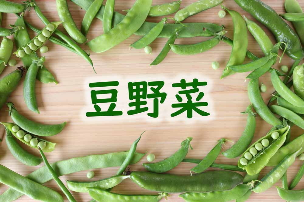 サヤ豆類・エンドウ豆など豆野菜一覧