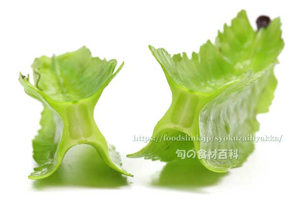 四角豆(しかくまめ)/うりずん豆 四角豆,しかくまめ,うりずん豆,ウリズン