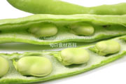 ファーベ（Fava）