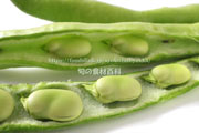 ファーベ（Fava）