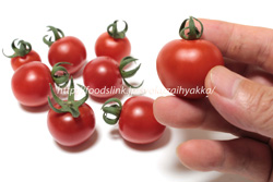 チャドウィックチェリー／Chadwick Cherry tomato：ミニトマト