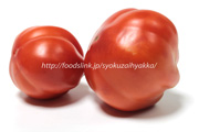 イタリアンレッドペアー／Red Pear：イタリアントマト