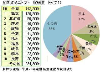 ミニトマトの主な産地と全国の収穫量