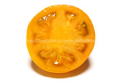 オレンジ色のトマト　桃太郎ゴールド