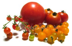 一般的なミディトマトとプチトマトにマイクロトマト２種を並べてみました。