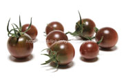 黒トマト＜ミニトマトの品種