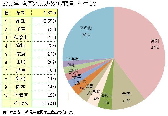 ししとう(獅子唐)の全国生産量ランキング ししとう(獅子唐)の全国生産量ランキング